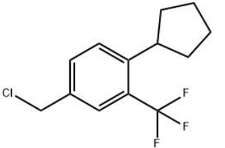 4-氯甲基-1-环戊基-2-三氟甲基苯